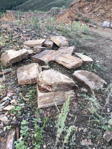 Плитняк кора дерева 50-100мм для пошаговых дорожек купить в Черкесскк